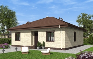 Одноэтажный дом с террасой и камином Rg6255