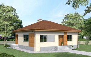 Проект загородного дома Rg4029