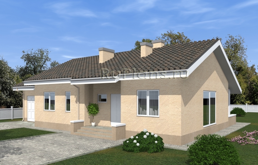 Одноэтажный дом с гаражом и террасой Rg5061z (Зеркальная версия) - Вид1