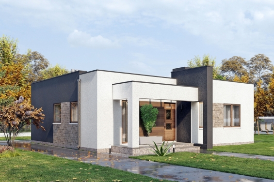Rg5202 - Проект одноэтажного жилого дома с террасой