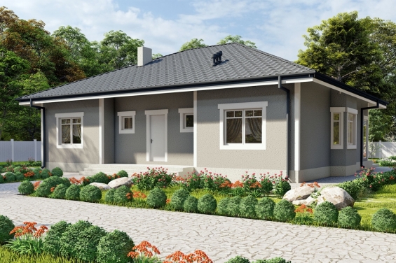 Rg5503 - Проект одноэтажного жилого дома с террасой