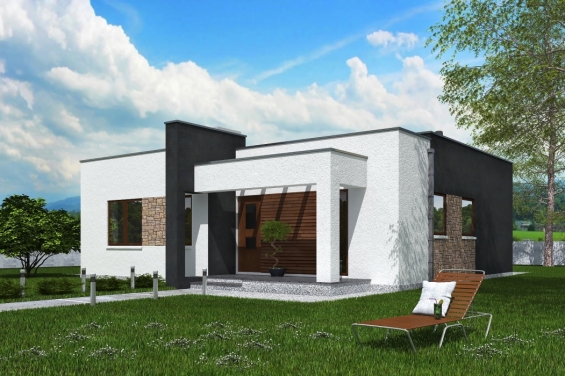 Rg5724 - Проект одноэтажного жилого дома с террасой