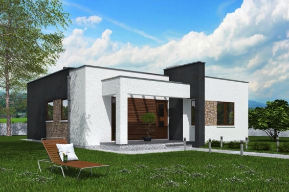 Rg5956 - Проект одноэтажного жилого дома с террасой, двумя спальнями и камином